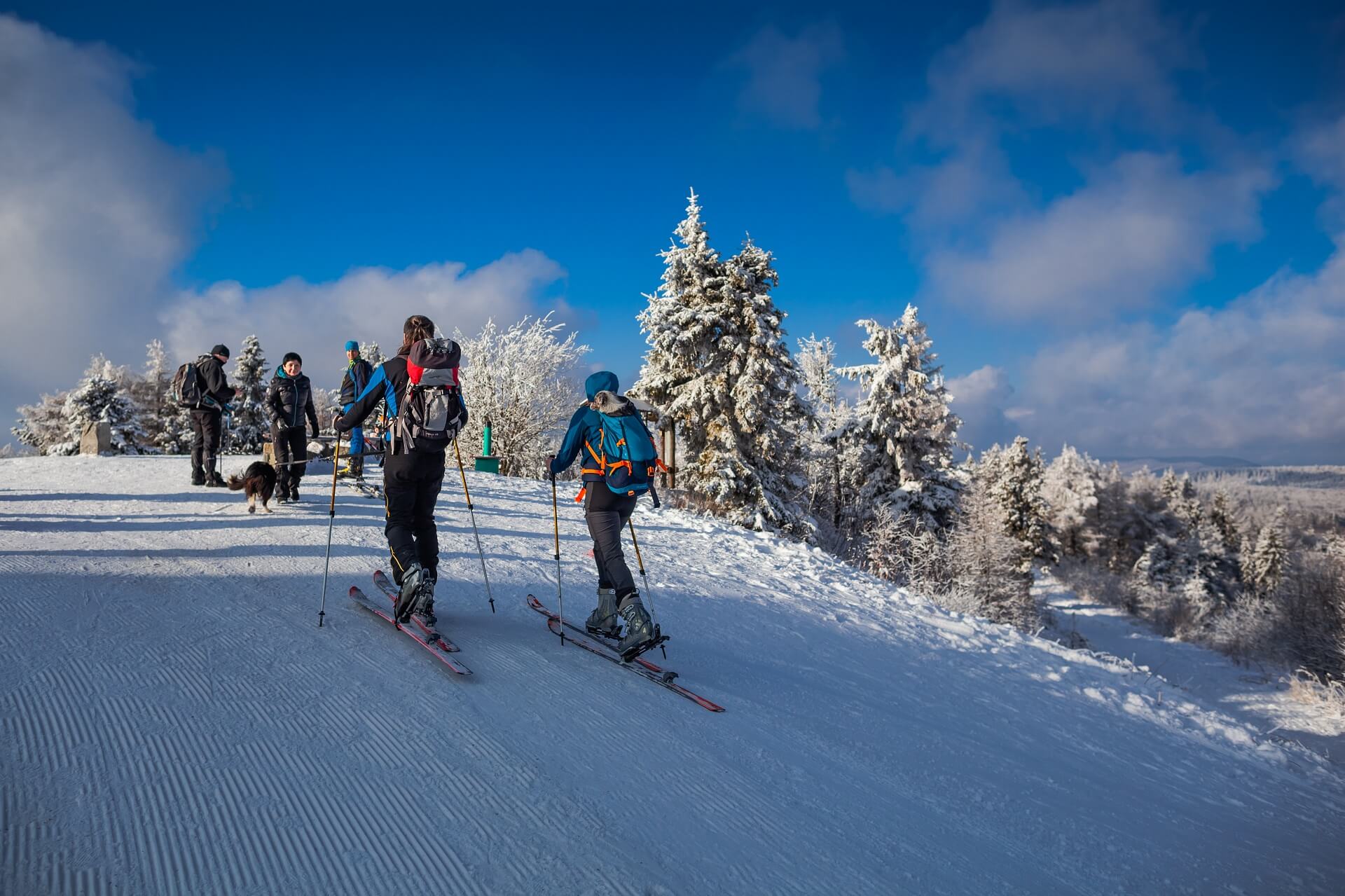 Downhill skiing – Krynica and Magura Małastowska